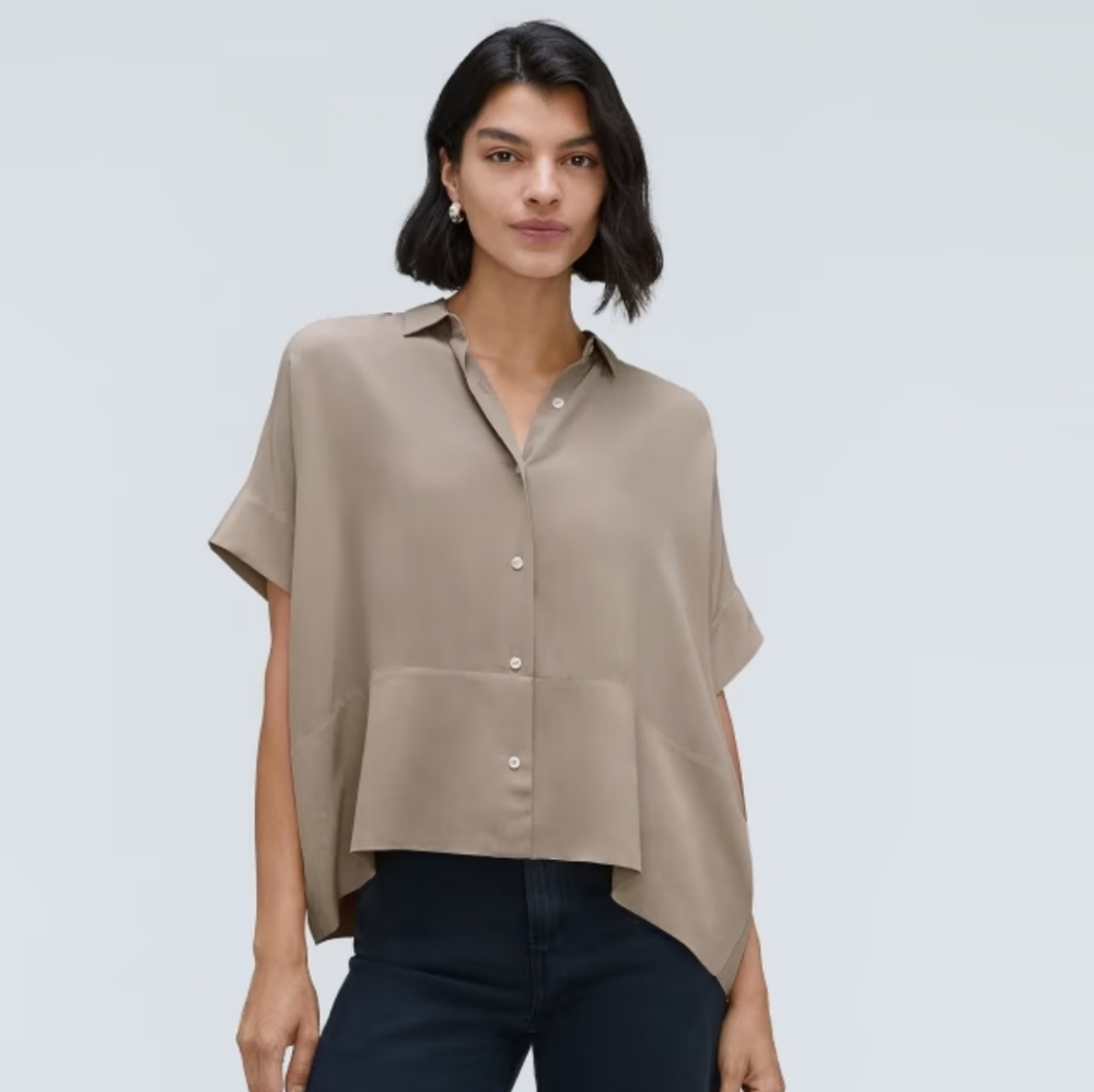 Everlane silk Taupe Button Down Shirt